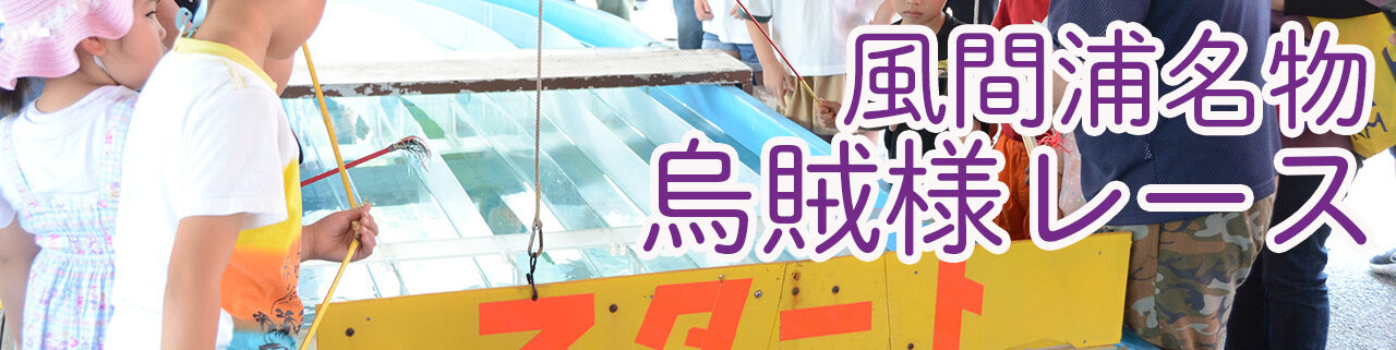 風間浦村名物烏賊様レース